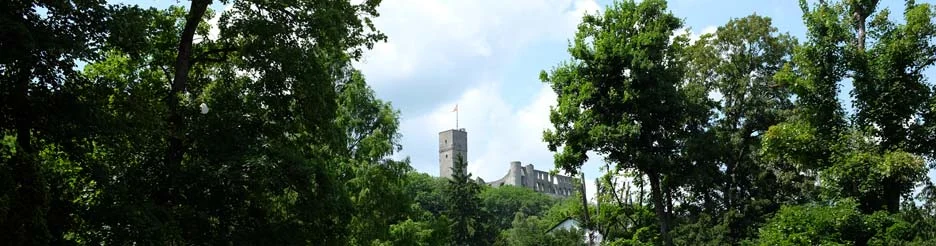 View of Königstein im Taunus